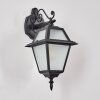 Fornelos Illuminazione esterna, Lampada da parete per esterno, Applique Nero, 1-Luce