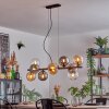 Gastor Lampadario a sospensione, Lampada a sfera, Lampada a sospensione Ambrato, Chiaro, Grigio fumo, 10-Luci