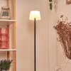 Longchamps Lampada da terra LED Nero, 1-Luce