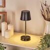 Amien Lampada da tavolo per esterno, Lampada da tavolo LED Nero, Argento, 1-Luce