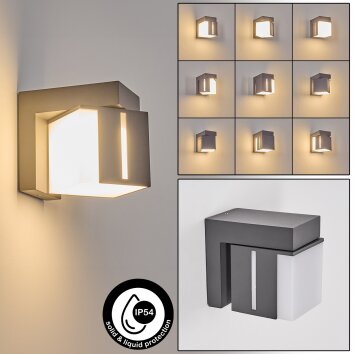 Swanek Lampada da parete per esterno, Applique LED Antracite, 1-Luce