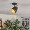 Bjedstrup Plafoniera, Faretto da soffitto, Faretto da parete Nero, 1-Luce