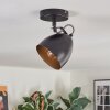 Bjedstrup Plafoniera, Faretto da soffitto, Faretto da parete Nero, 1-Luce