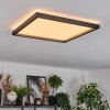 Xarel Plafoniera, Panel LED Nero, 1-Luce