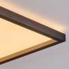 Xarel Plafoniera, Panel LED Nero, 1-Luce