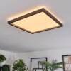 Xarel Plafoniera, Panel LED Nero, 1-Luce