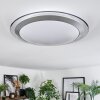 Calen Plafoniera, Faretto da soffitto LED Bianco, 1-Luce