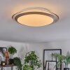 Calen Plafoniera, Faretto da soffitto LED Bianco, 1-Luce