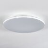 Norea Plafoniera, Faretto da soffitto LED Bianco, 1-Luce