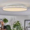 Norea Plafoniera, Faretto da soffitto LED Bianco, 1-Luce