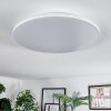 Norea Plafoniera, Faretto da soffitto LED Bianco, 1-Luce