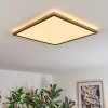 Antra Plafoniera, Panel LED Oro, 1-Luce