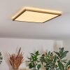 Antra Plafoniera, Panel LED Oro, 1-Luce