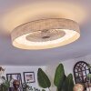 Benasal Plafoniera, Lampada con ventilatore LED Bianco, 1-Luce, Telecomando