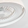 Benasal Plafoniera, Lampada con ventilatore LED Bianco, 1-Luce, Telecomando