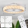 Benasal Plafoniera, Lampada con ventilatore LED Bianco, 1-Luce, Telecomando