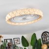 Benasal Plafoniera, Lampada con ventilatore LED Bianco, 1-Luce, Telecomando