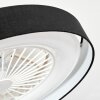 Benasal Plafoniera, Lampada con ventilatore LED Bianco, 1-Luce, Telecomando