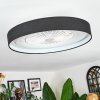 Benasal Plafoniera, Lampada con ventilatore LED Bianco, 1-Luce, Telecomando