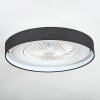 Benasal Plafoniera, Lampada con ventilatore LED Bianco, 1-Luce, Telecomando