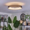 Benasal Plafoniera, Lampada con ventilatore LED Bianco, 1-Luce, Telecomando