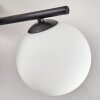 Gastor Plafoniera, Lampada a sfera Bianco, 4-Luci