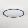 Arima Plafoniera LED Grigio, Bianco, 1-Luce