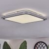 Arima Plafoniera LED Grigio, Bianco, 1-Luce