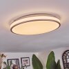 Anora Plafoniera LED Ramato, Bianco, 1-Luce