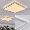 Xarel Plafoniera, Panel LED Bianco, 1-Luce