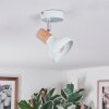 Alyra Plafoniera, Faretto da soffitto Bianco, 1-Luce