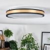 Kirtland Plafoniera LED Oro, Nero, 1-Luce