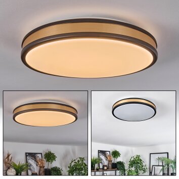 Kirtland Plafoniera LED Oro, Nero, 1-Luce