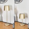 Belece Lampada da tavolo per esterno, Lampada da tavolo LED Oro, 1-Luce