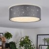 Carel Plafoniera, Faretto da soffitto LED Bianco, 1-Luce