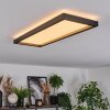 Binor Plafoniera LED Bianco, 1-Luce