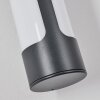 Biran Lampada da parete per esterno, Applique LED Antracite, 1-Luce