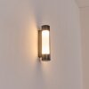 Biran Lampada da parete per esterno, Applique LED Antracite, 1-Luce