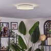 Borel Plafoniera LED Bianco, 1-Luce