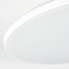 Borel Plafoniera LED Bianco, 1-Luce