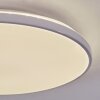 Borel Plafoniera LED Bianco, 1-Luce