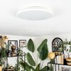 Borel Plafoniera LED Bianco, 1-Luce