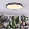 Filor Plafoniera LED Nero, 1-Luce