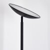 Dillingby Lampada da terra LED Nero, 1-Luce