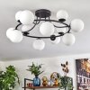 Chehalis Plafoniera, Lampada a sfera 76 cm Bianco, 12-Luci