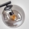 Gastor Plafoniera, Lampada a sfera Grigio fumo, 3-Luci