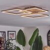 Brina Plafoniera LED Marrone, Oro, 1-Luce