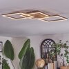 Brina Plafoniera LED Marrone, Oro, 1-Luce