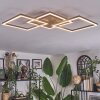 Brina Plafoniera LED Marrone, Oro, 1-Luce