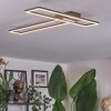 Brina Plafoniera LED Marrone, Oro, 1-Luce, Telecomando